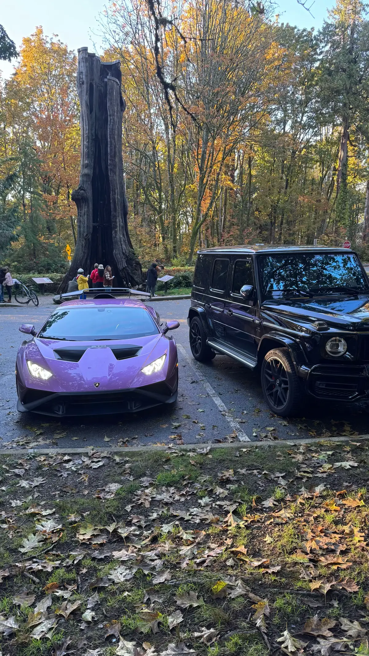 #huracansto #mclaren720s #supercars #stanleypark #fyp 