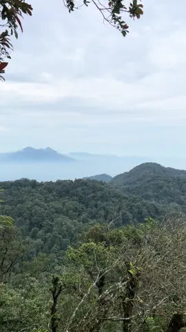 View dari gunung halimun #pendakian #naikgunung #Hiking #tektok 