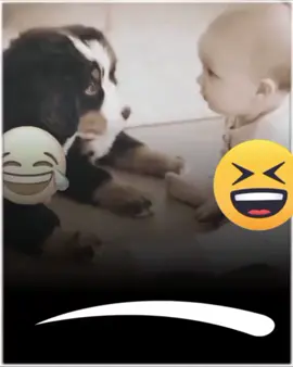 🤣😂🤣😂🤣😂