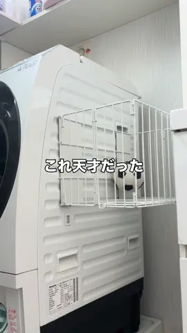 洗濯カゴって、意外と場所取るし 掃除のたびにどかすのめんどくさくない？💦 これ、磁石で洗濯機にくっつく折りたたみタイプ🧺 使うときだけ“パタン”と開いて、終わったらスッと折りたためる✨ だから洗面所がスッキリするし、床掃除もラクになった！ しかも、カゴを毎回動かす必要なし👏 見た目もシンプルで生活感が出にくいのがうれしいポイント🩵 みんなは楽天で買ってるみたいだけど、 私はTemuで購入したよ🫶 「これ便利そう！」って思ったら、 あとで見返せるように【保存】してね👀💡 #洗濯カゴ #便利アイテム #temu