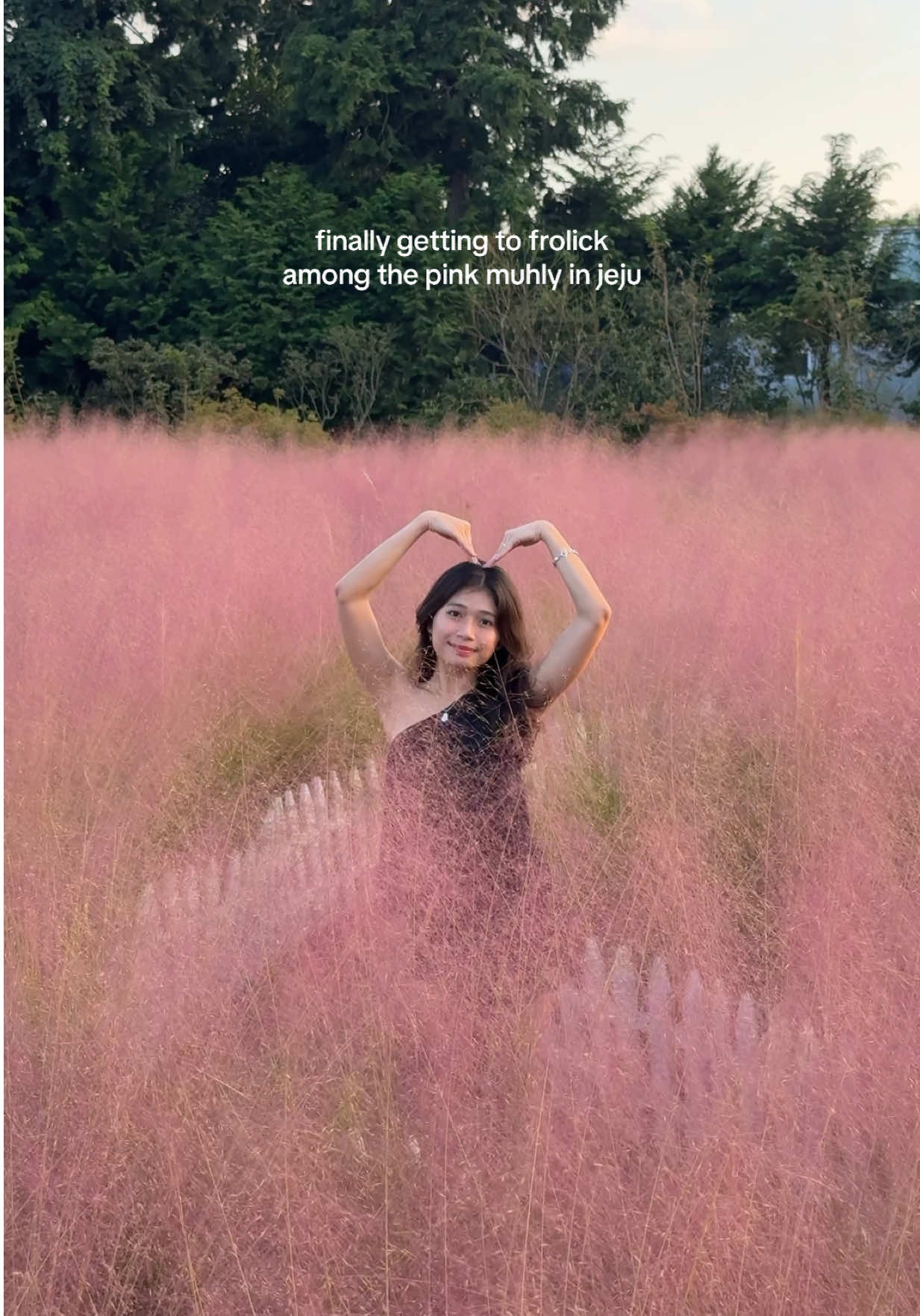 it’s finally my turn to see the pink muhly!! if you’re heading to jeju, Hueree Nature Life Park > Camellia Hill for pink muhly 🌾 #koreatravel #jeju #pinkmuhly #korea #sgtravel 