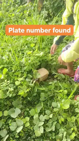 ISANG BOX NA PLATE NUMBER NAKITA SA DAMOHAN  #fypviraltiktok🖤シ゚☆♡  #viralvideo2025_💯  #highlight  #tiktokviral  #likecommentsharecpylink🥰😘 