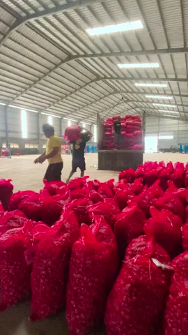 #pesona_bawang_bima #promoseruweekend #pejuang_rupiah_tanpa_batas💪💪 
