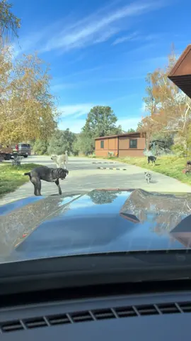 My favorite greeting 