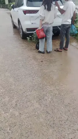 20,10, sâm về an toàn cho bảo nge 