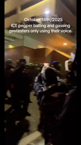 Portland ICE agents pepper balling and gassing protesters only using their voice. You can clearly see there was no violence of any kind when they started shooting us as they filmed videos to make it look like utter chaos. They are using excessive force for no reason. #nokings #portlandmusicfestival #peacefulprotest #icetok #portlandtok 
