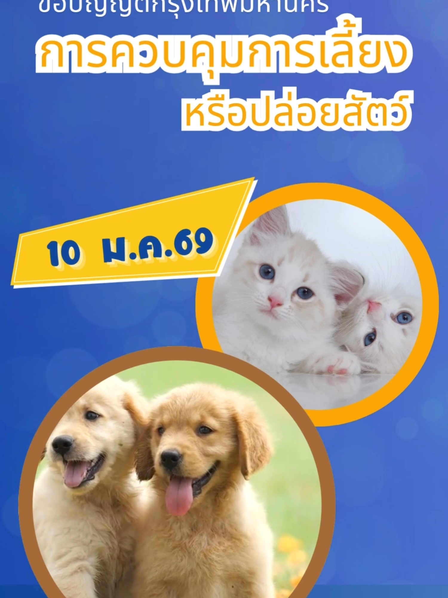 tiktok1~1