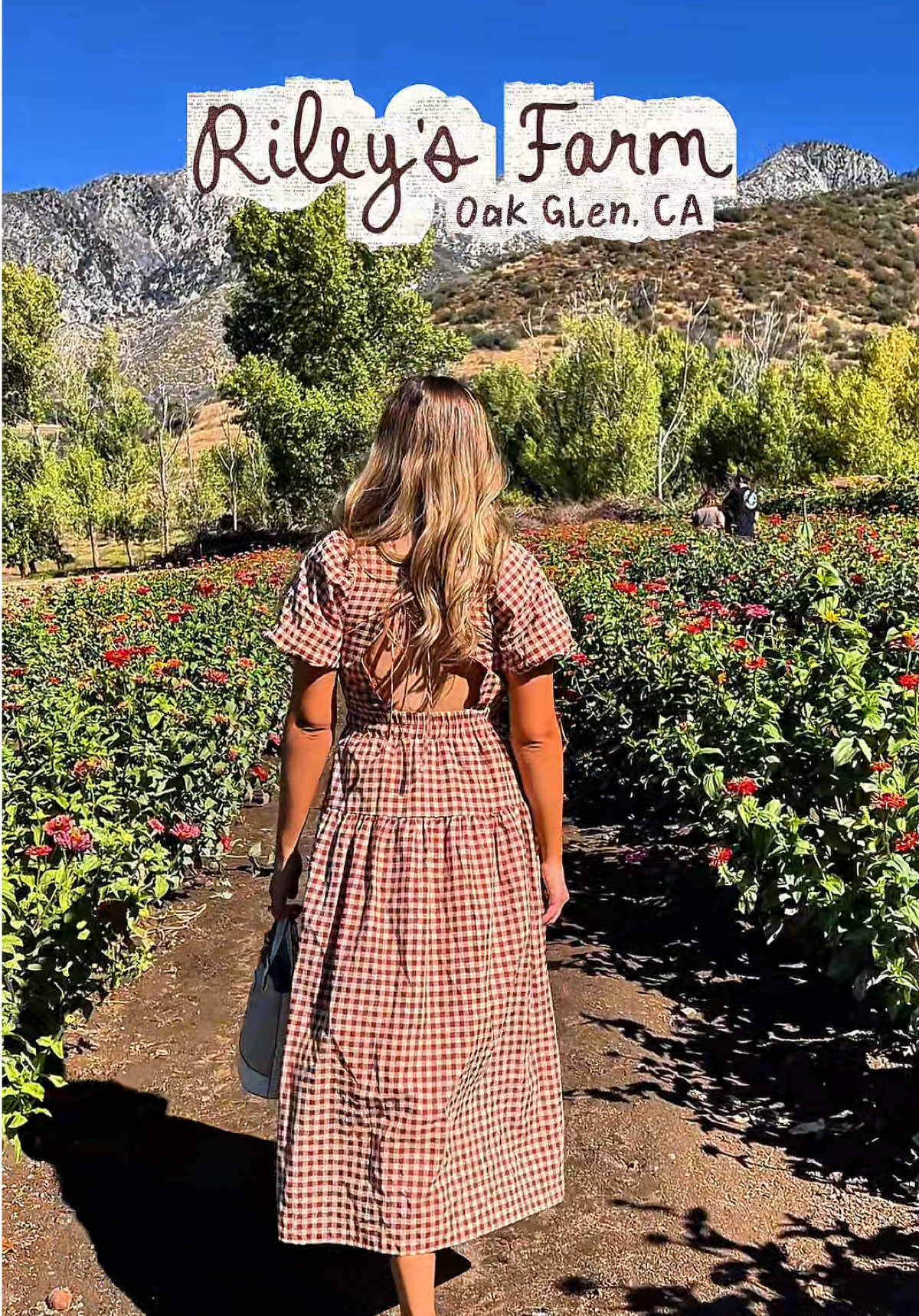 🍂🍁 #rileysfarm #oakglen #applepicking #fall #autumn 