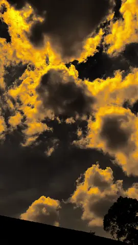 Bagian 112 | إنها العلم بالتعلم لا بالنسب  