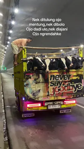 Redy dara super”#fyp #berandafyp 