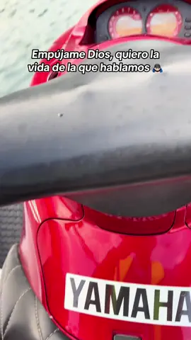 #flypシ゚ #corridoschingones #viraltiktok #flypシ #paratii 