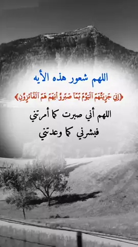 #إقتباسات عبارت ه #شبل#يمن#الشمال#عدن يجمال_اليمن ثقافة_يمنية تراث_يمني موسيقى_يمنية شباب_يمني ـــ فخر_يمني يمن_الحب تقاليد_يمنية