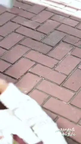 sister is a yandere sunflower who's ever seen her would laugh haha, aired on  october 24#于龙杨咩咩 #yulongyangyilu #杨咩咩 #于龙怕热 #meimei #Yulong 