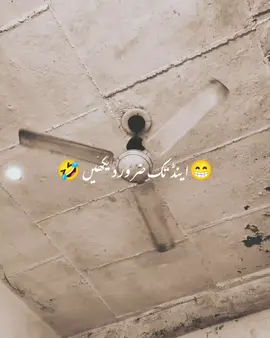 Lines 🤍🍫🐣 #foryou #foryoupage #shayari #shayarivideo   #instagram 