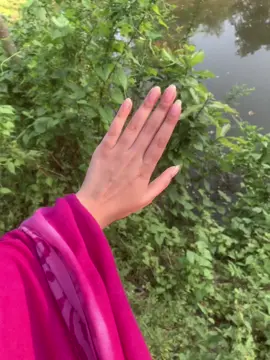 he piyeo 🥺#viral #viralvideo #fryyyyyyyyyyyyyyyyyyyyyyyyy #foryoupagе 