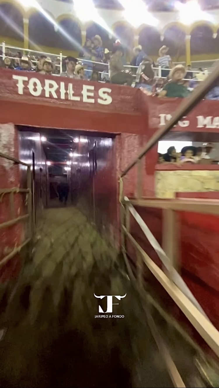 🐂🔥TORILES🔥🐂#jaripeoranchero  #jaripeos  #caballos  #viralvideos #fyppppppppppppppppppppppp 