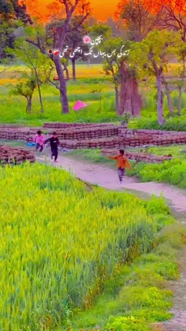 زندگی بس یہاں تک اچھی تھی ❤️‍🩹🥀#🍂میرا-سونا_ پنڈ_لنگے-ضلع -سیالکوٹ🌅 🌾🍃❤️#shabanhaider1000✅🌱 #foryoupage #unfrezzmyaccount 