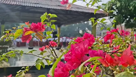 Selamat hari senin🫡 #fypage #foryoupage #fypシ゚ #DapurMBG #fyppppppppppppppppppppppp 