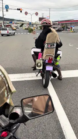 . 後ろから奏でてます🎶