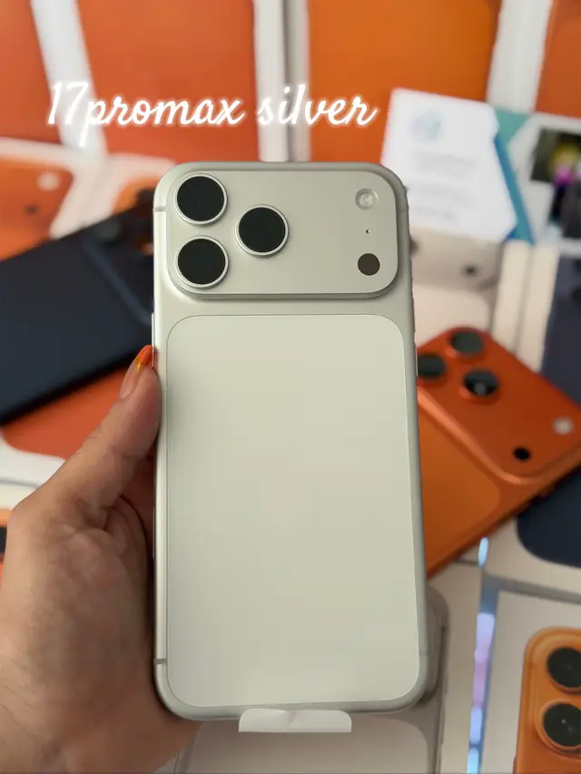 17Promaxsilver🤍