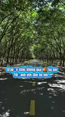 Đi cà phê mà tưởng đi du dịch châu âu #giangsinh #noel #khamphacungnguyen #giangsinh2025 #TikTokAwardsVN #riview #quancaphe #hincoffee #q12#ansuong 