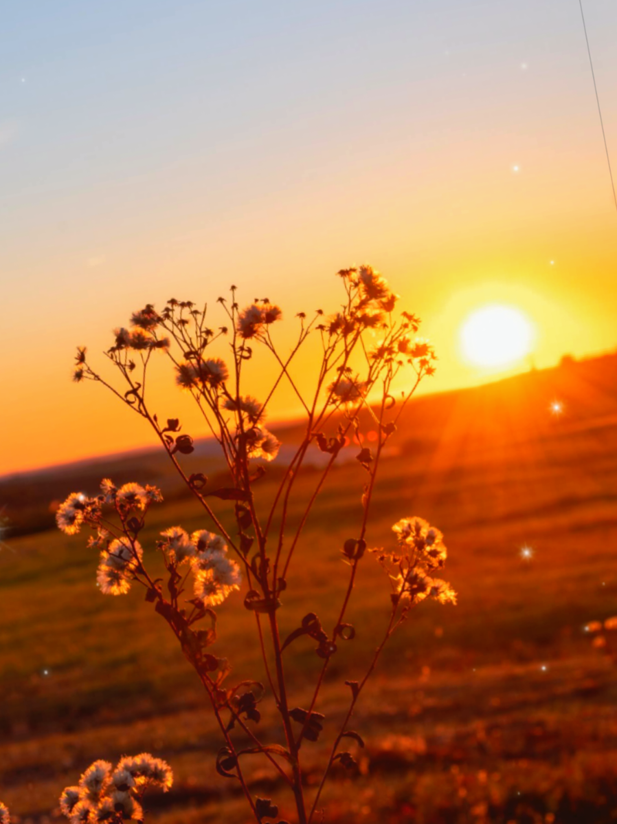mi hombresito grande 🍁🍂🍎💙  #viraltiktok #manz #pomki #Otoño #tendencia 