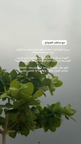 اللهمَّ اِجعلنا ممن يأتون إليك بالدعاء، فتأتي إليهم بالرحمـة والاِستِجـابة.. “#يارب🤲 #ادعية_اسلامية_تريح_القلب #صباح_الخير #صباحكم_سعادهـ🌸🍃 #اصبحنا_واصبح_الملك_لله 
