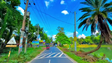 চিনো..?🙄#foryou #viralvideo #fyppppppppppppppppppppppp 