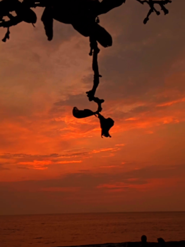 very comfortable enjoying the beauty of the sunset at Anyer Cottage Beach #sunset #beach #sunsetvibes #creatorsearchinsights #sunsetpantaianyerbanten 