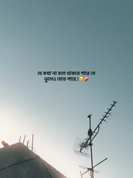 যে কথা না বলে থাকতে পারে সে ভুলেও যেতে পারে.!😊❤️‍🩹 #foryou_ #foryoupage #trending_ #vairal_ #1million_tik_tok