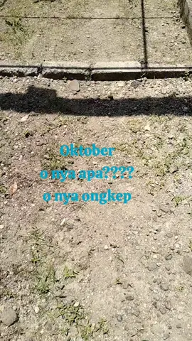 es teh...es teh..es teh#fypbanyuwangi #fypbrebesngapak #fypblitar #banguwangi_hits 
