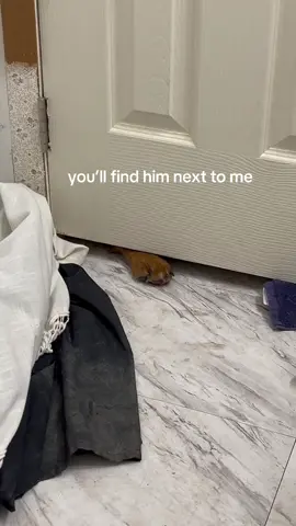 can’t even pee in peace#fyp 