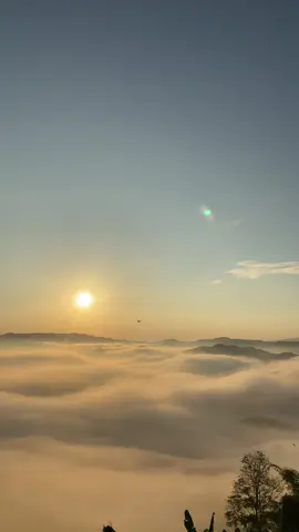 🌳💚  #จุดชมวิวบ้านมะหินกอง #เที่ยวเชียงราย 