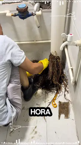 VERTER. BURBUJEAR. LISTO. ✨ La manera más fácil de desobstruir cualquier desagüe!#TrucoDeLimpiadorDeDesagües #YaNoMásObstrucciones #SoluciónParaLaCocina #DiadeMuertosTikTokShop #CatrinaChallengeTikTokShop 