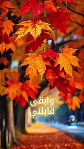 ابقى قابلني🙂‍↔️ #فضل_شاكر #ابقى_قابلني_فضل_شاكر #ملك_الاحساس #حب #Love 