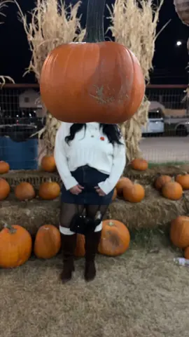 pumpkin patch w my pumpkin 🎃 #wlw #pumpkinpatch 