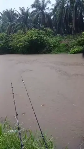 aaaa bjng lah🗿🤣#tiktoklive #livehighlights #mancing #apfishing🎣 