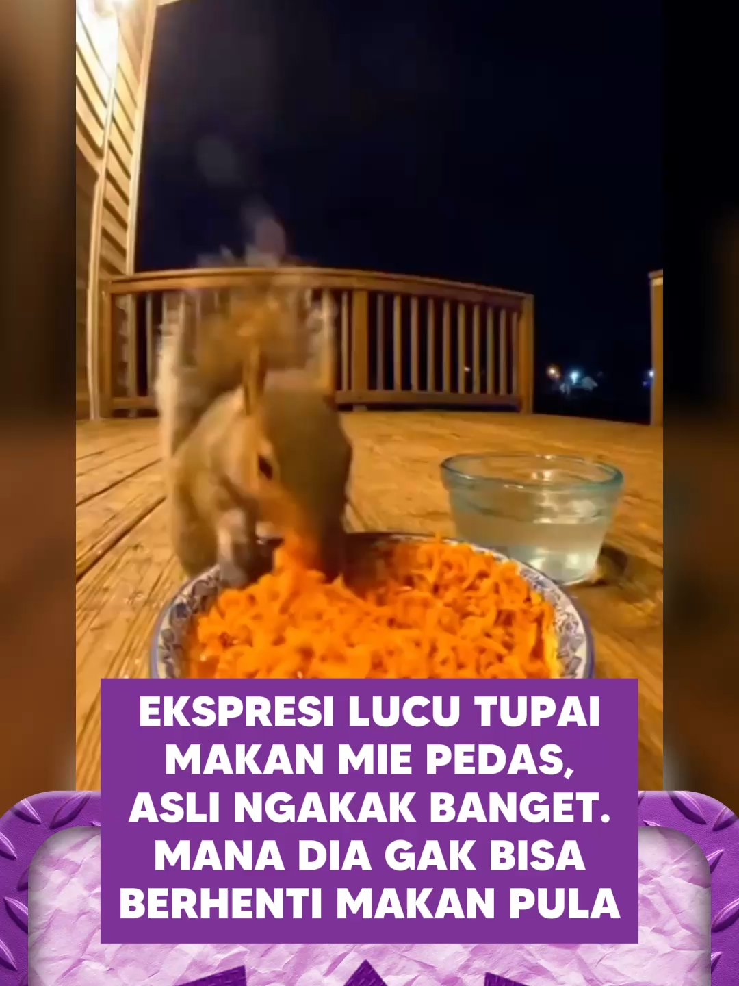 reaksinya lucu bangeett - tupai makan mie pedas - SpeedCash sc: jajangibrahim3 #berita #info #fyp #ForYou #speedcash
