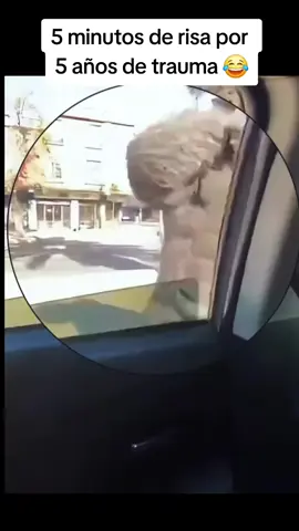 #fyp #humor #risas #comedia  #😂😂😂 