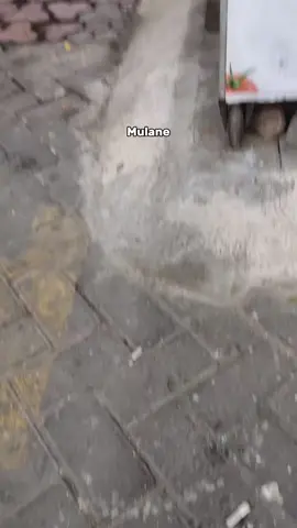 nuruti gengsi hancur kawan#eripras3 #eripras3_ #4u #fyp 