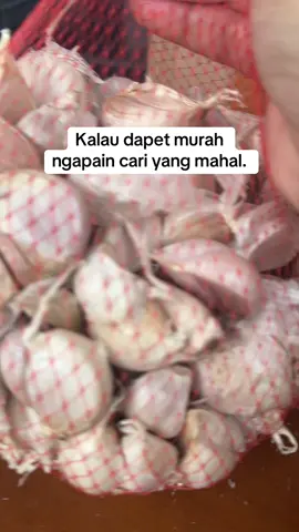 Bawang putih kating lebih wangi daripada bawang putih biasa. Gampang kupasnya juga #bawangputih #bawangputihkating #bawangkating #bawangmurah 