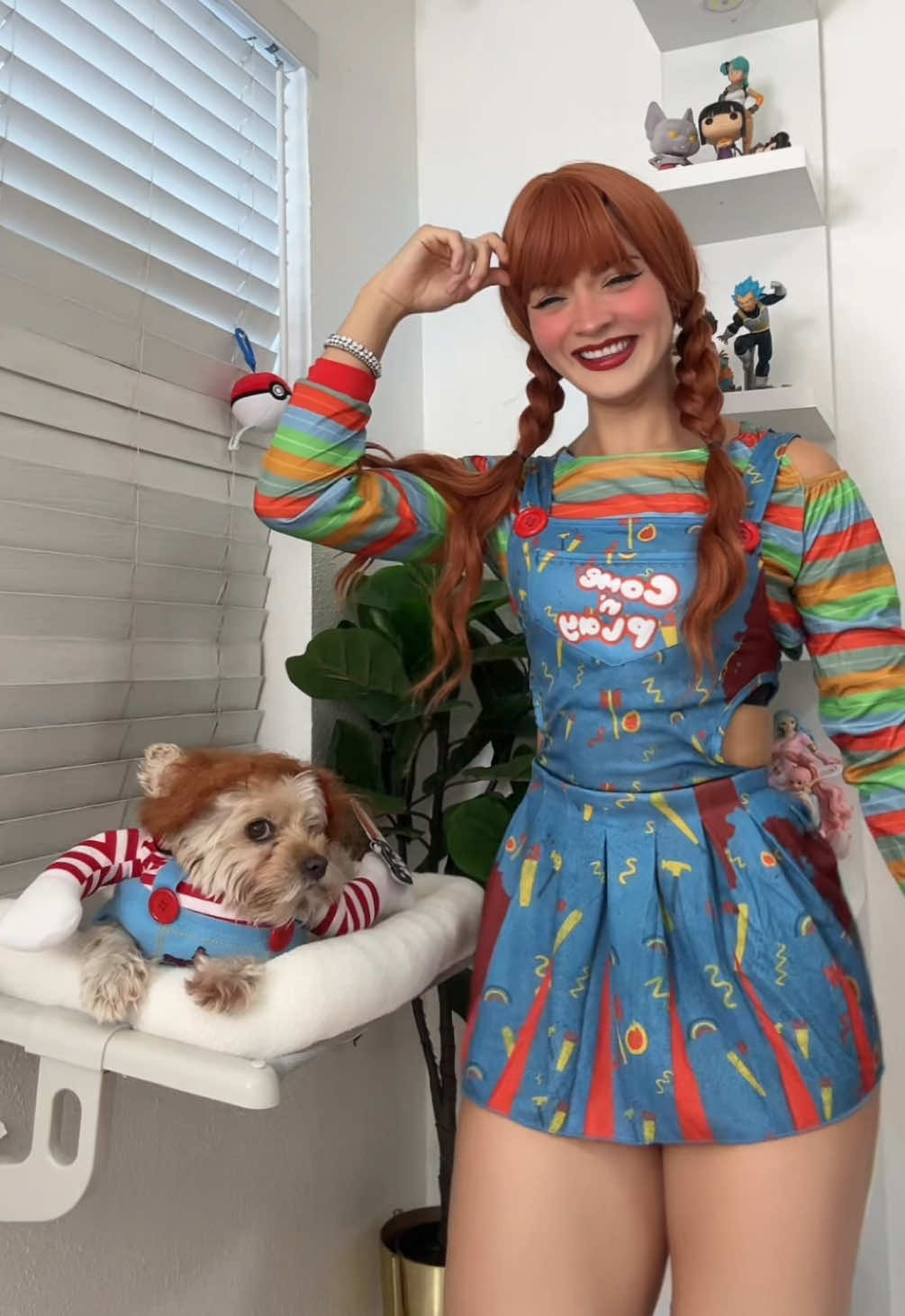 Viste a mi perrita vestida de Chucky? 🙈❤️  #chucky #halloween #dancetreend #chuckyhalloween #halloweencostume 