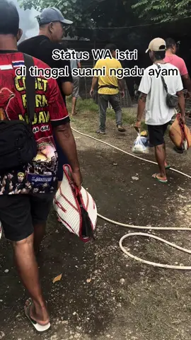 Yang belum lulus jangan di coba 🤣