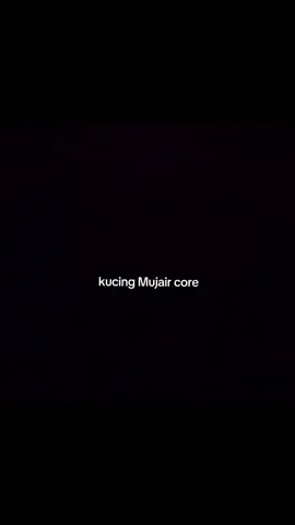 #kucingmujair#fpryoupage#core#xy#memestiktok 