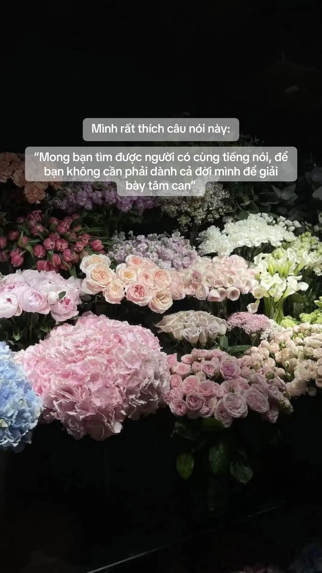 Mình rất thích câu nói này: “Mong bạn tìm được người có cùng tiếng nói, để bạn không cần phải dành cả đời mình để giải bày tâm can” #viral  #hhhhhhhhhhhhhhh  #beyeu❤️ 
