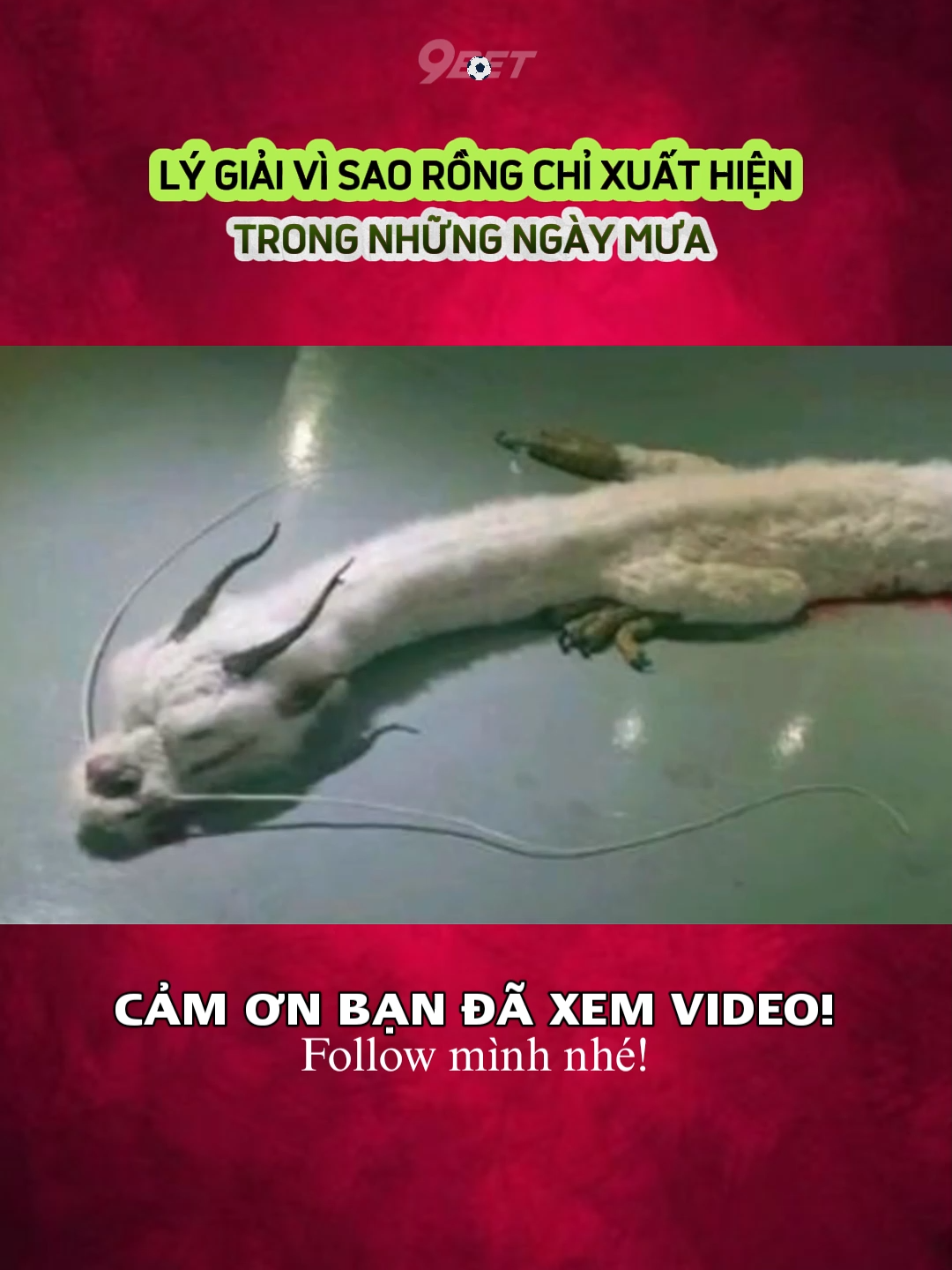 LÝ GIẢI VÌ SAO RỒNG CHỈ XUẤT HIỆN TRONG NHỮNG NGÀY MƯA #khampha #khamphathegioi #tamlinhhuyenbi #tamlinh #bian