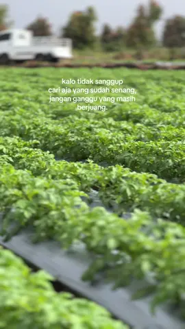 #Riskyprayogi #fyp 