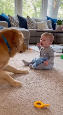#cutebaby #pet #dog #mylove #funnytoddler 