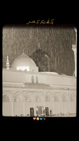 حضورﷺ میری تو ساری بہار آپﷺ سے ہے میں اس یقین سے زندہ ہوں آپ ﷺمیرے ہیں میری حیات کا دارومدار آپ ﷺسے ہے حضور آپﷺ کی یادوں میں اشک رحمت ہیں میں بے قرار تھا میرا قرار آپ ﷺ سے ہے 🥺 ۔ #foryou#foryoupage#unfreezemyaccount#growmyaccount#12rabi_ul_awal 