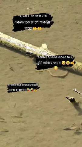 😇😇😄😄🫵🫵🫵🫵🙃